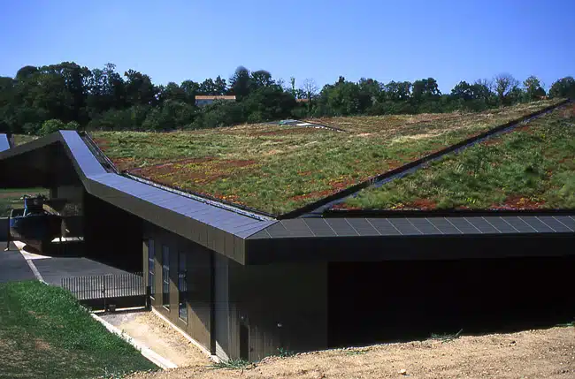 Toiture végétalisée