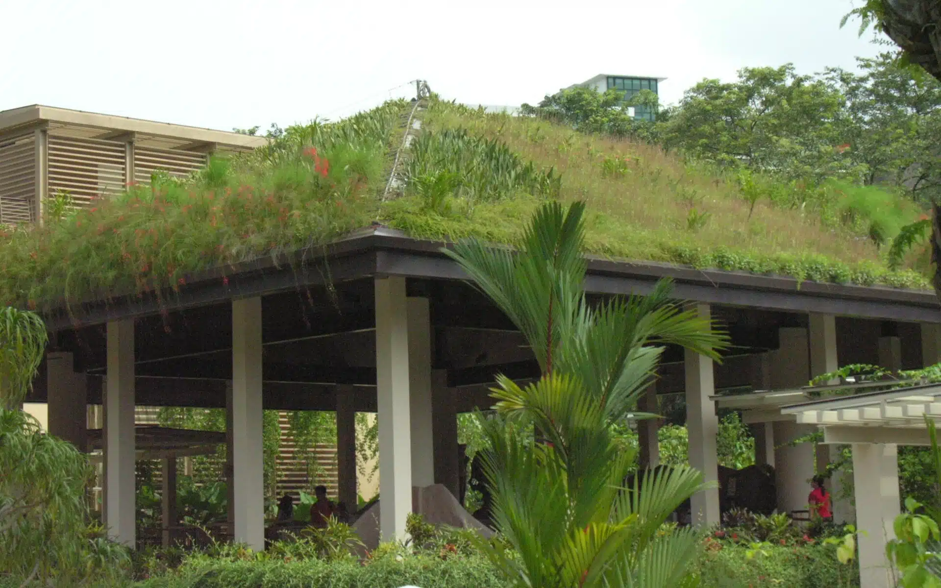 GreenRoof-SingaporeBotanicGardens-1